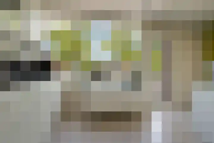 Lumeystraat 29 Zoetermeer thumbnail 21