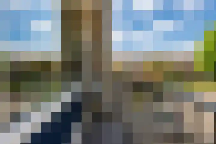 Lumeystraat 29 Zoetermeer thumbnail 22