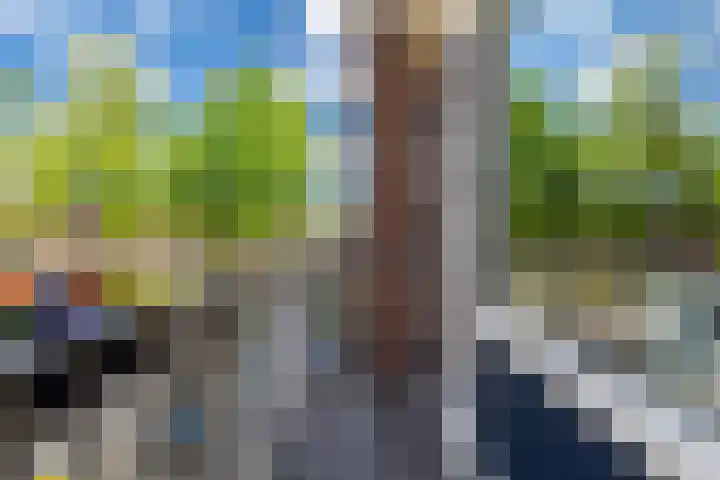 Lumeystraat 29 Zoetermeer thumbnail 24