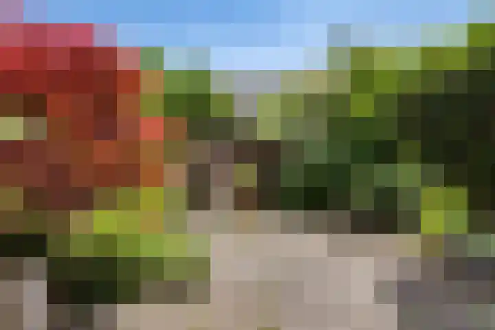 Lumeystraat 29 Zoetermeer thumbnail 29