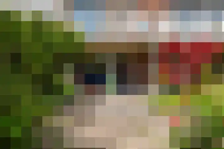 Lumeystraat 29 Zoetermeer thumbnail 31