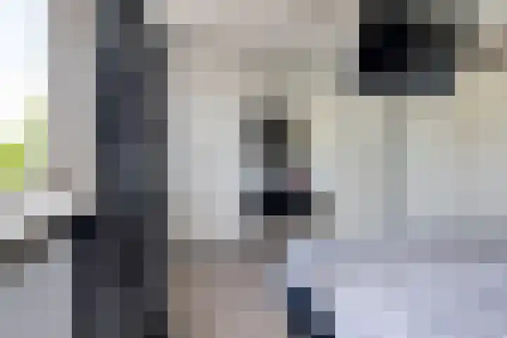 Lumeystraat 29 Zoetermeer thumbnail 38