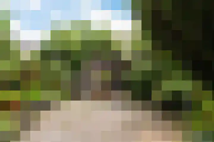 Lumeystraat 29 Zoetermeer thumbnail 4