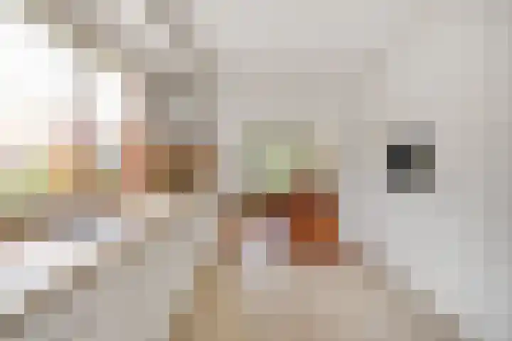 Lumeyweg 41 Brielle thumbnail 19
