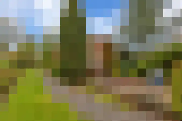 Lumeyweg 41 Brielle thumbnail 34