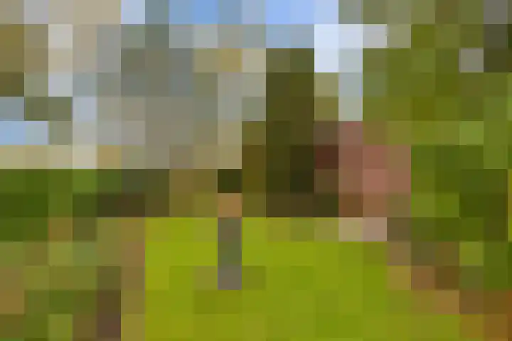 Lumeyweg 41 Brielle thumbnail 35