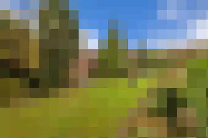 Lumeyweg 41 Brielle thumbnail 36
