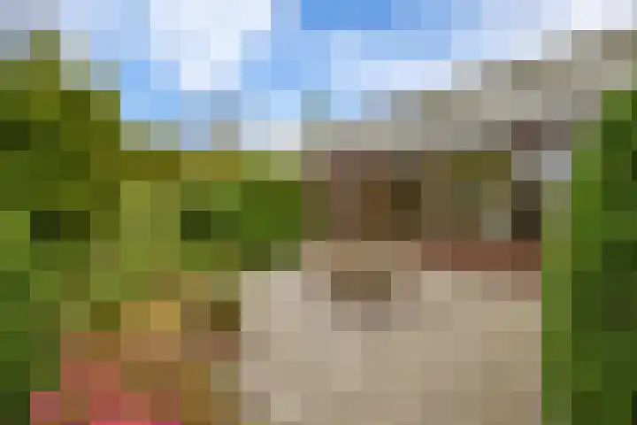 Lumeyweg 41 Brielle thumbnail 37