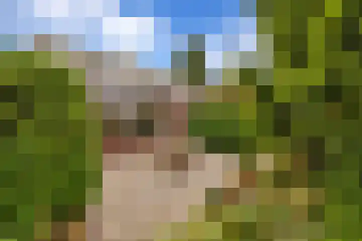 Lumeyweg 41 Brielle thumbnail 38