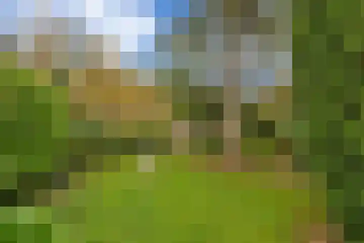 Lumeyweg 41 Brielle thumbnail 41