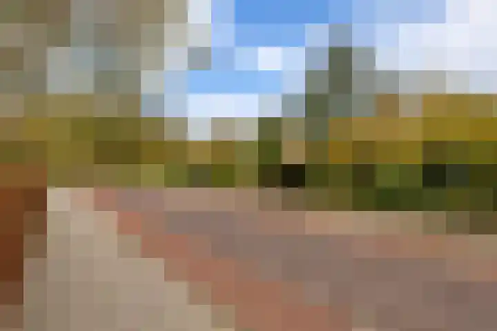 Lumeyweg 41 Brielle thumbnail 45