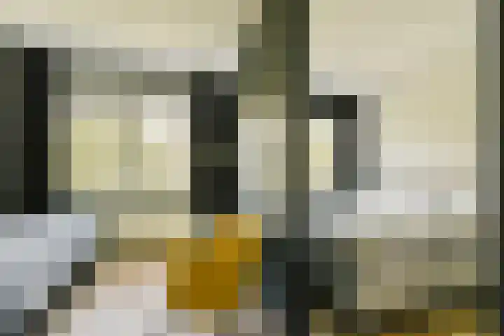 Lumièrestraat 36 Amsterdam thumbnail 19