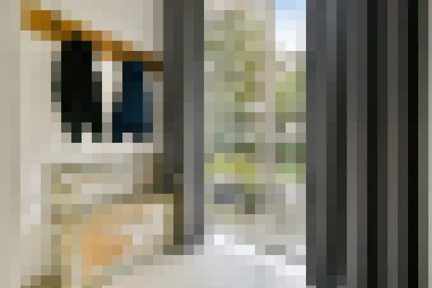 Lumièrestraat 48 Amsterdam thumbnail 6