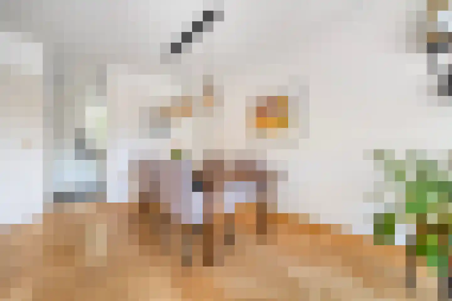 Lumumbasingel 4 Delft thumbnail 10