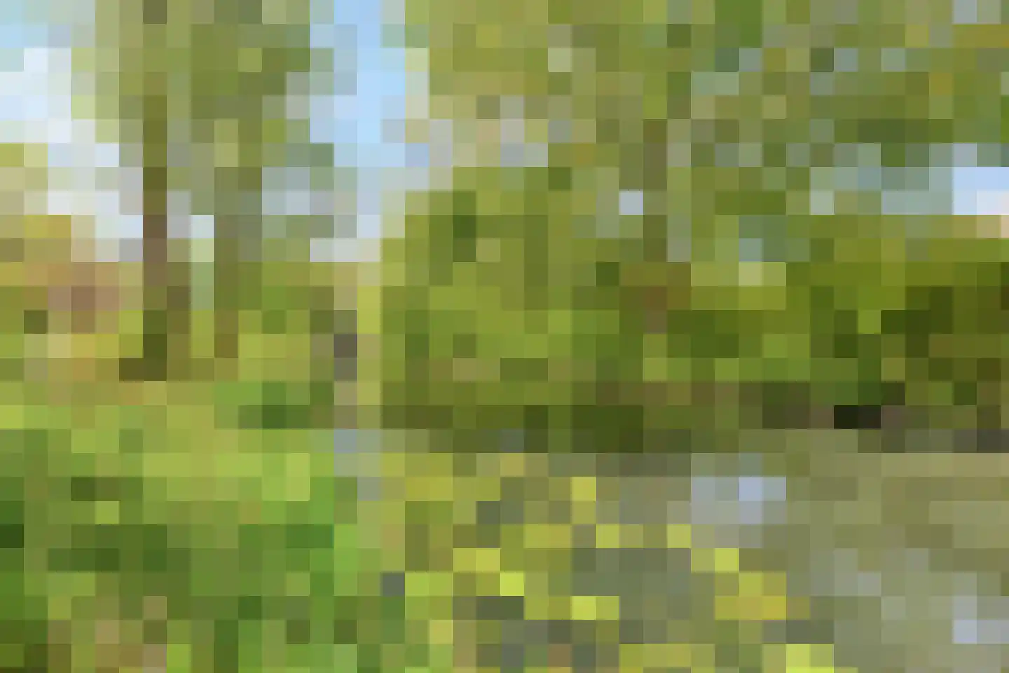 Lumumbasingel 4 Delft thumbnail 32