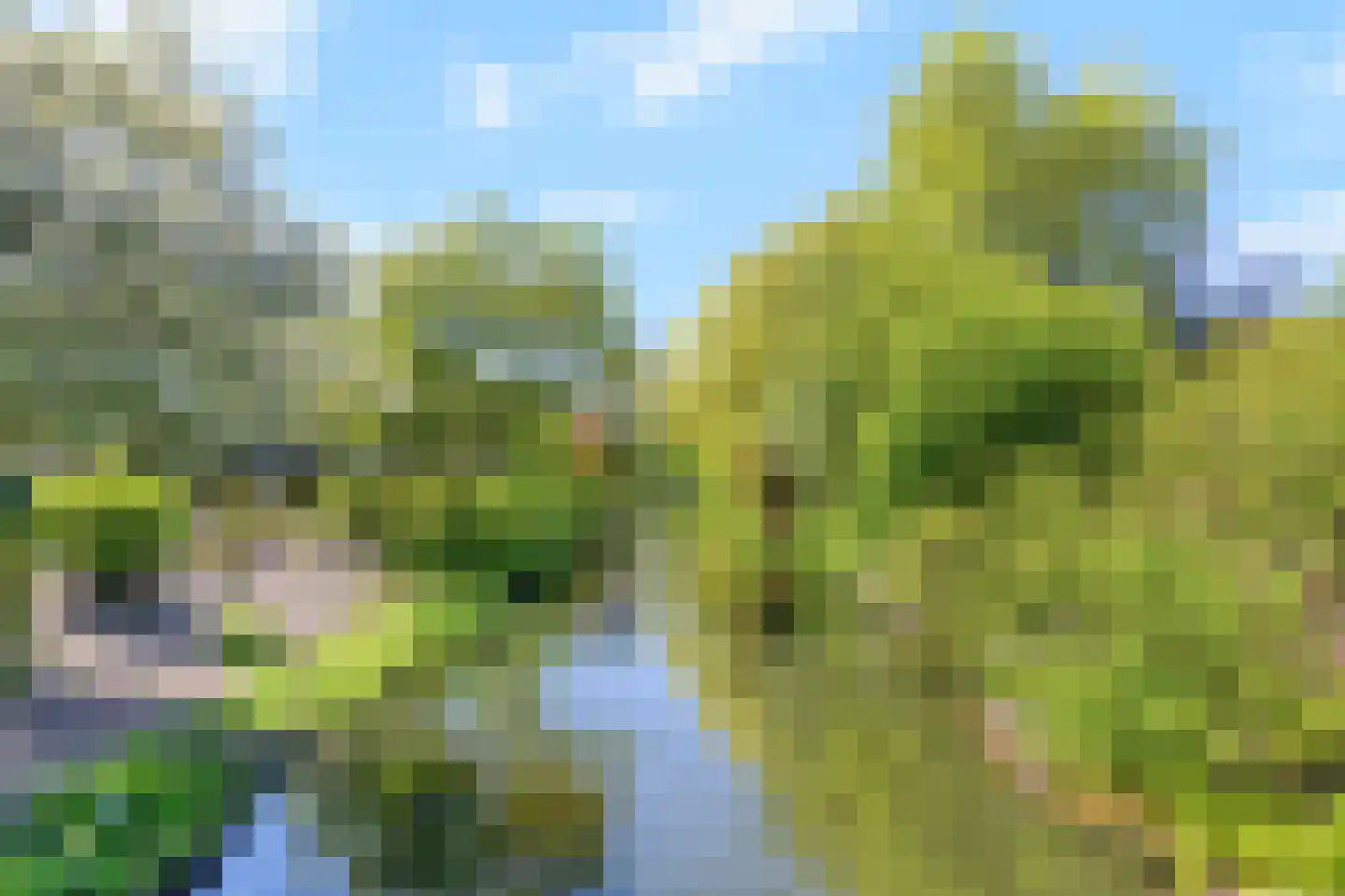 Lumumbasingel 4 Delft thumbnail 34