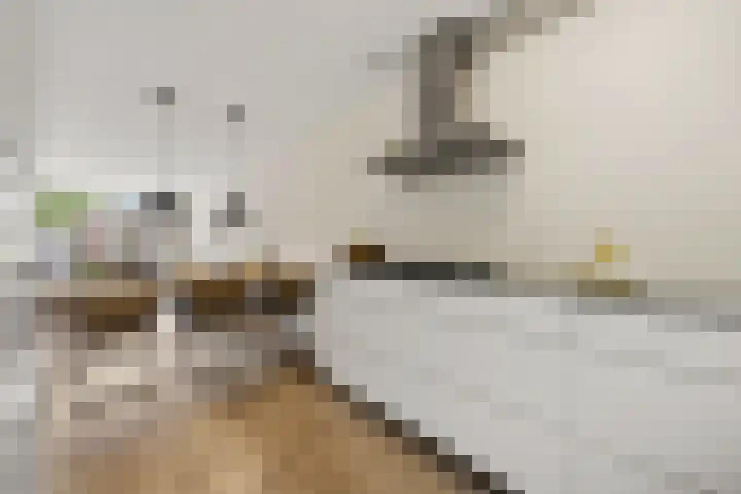 Lumumbasingel 5 Delft thumbnail 11