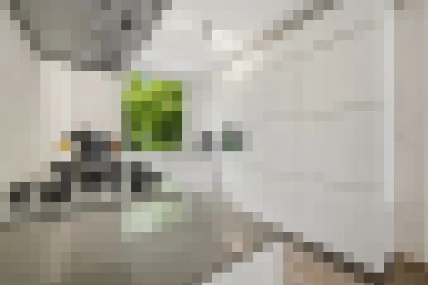 Lumumbasingel 5 Delft thumbnail 12