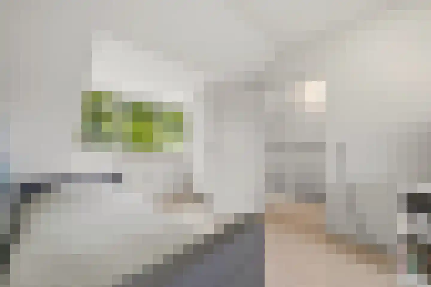 Lumumbasingel 5 Delft thumbnail 33