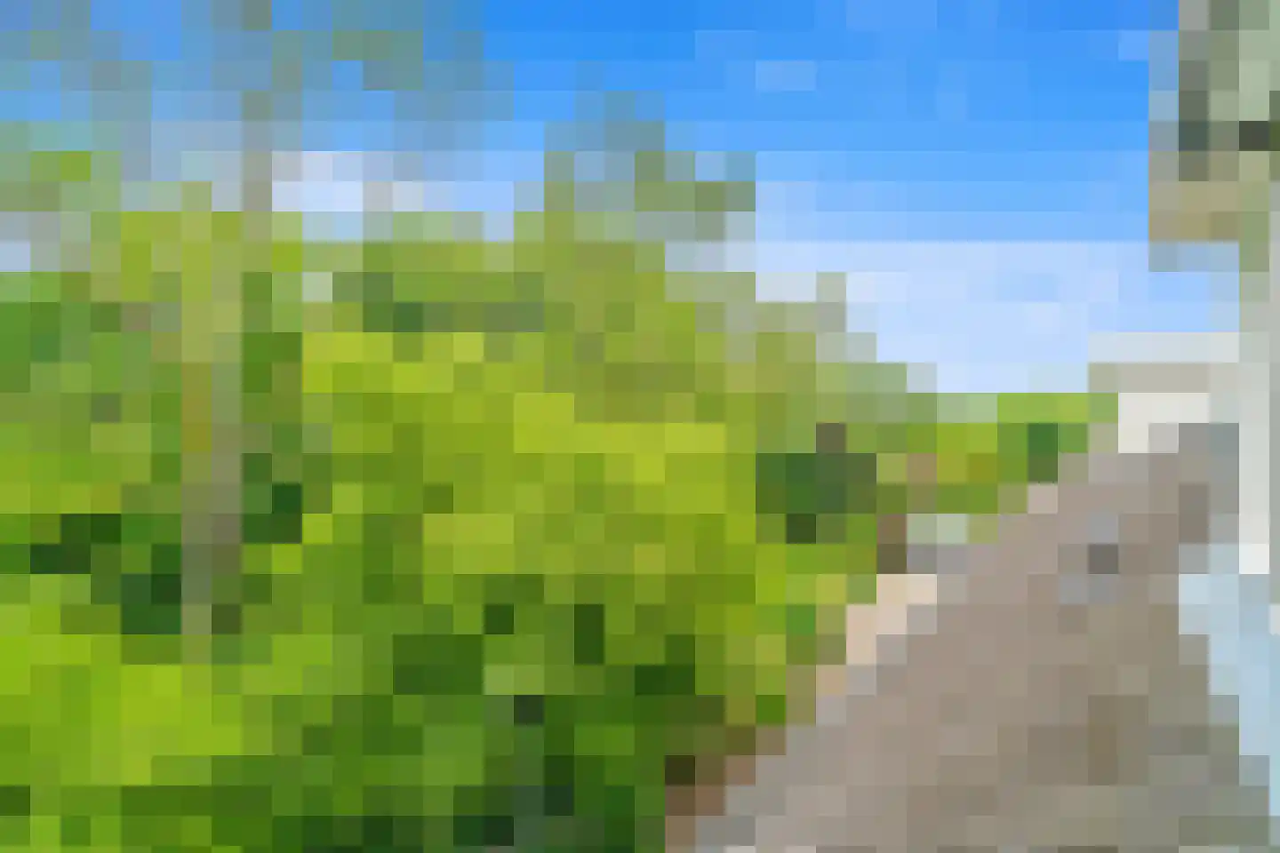 Lumumbasingel 5 Delft thumbnail 34