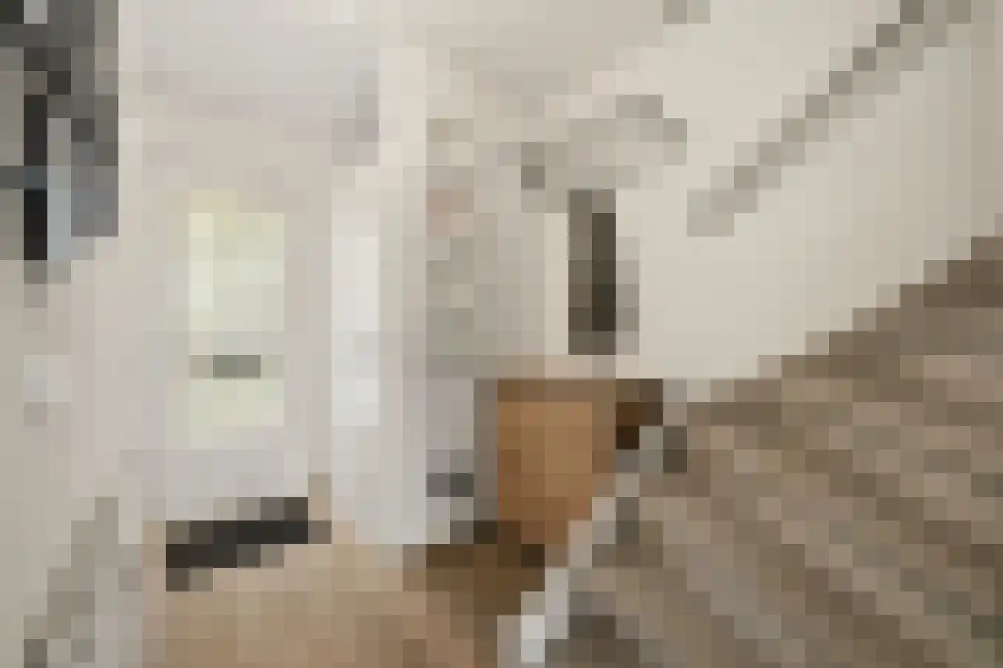 Lumumbasingel 5 Delft thumbnail 4