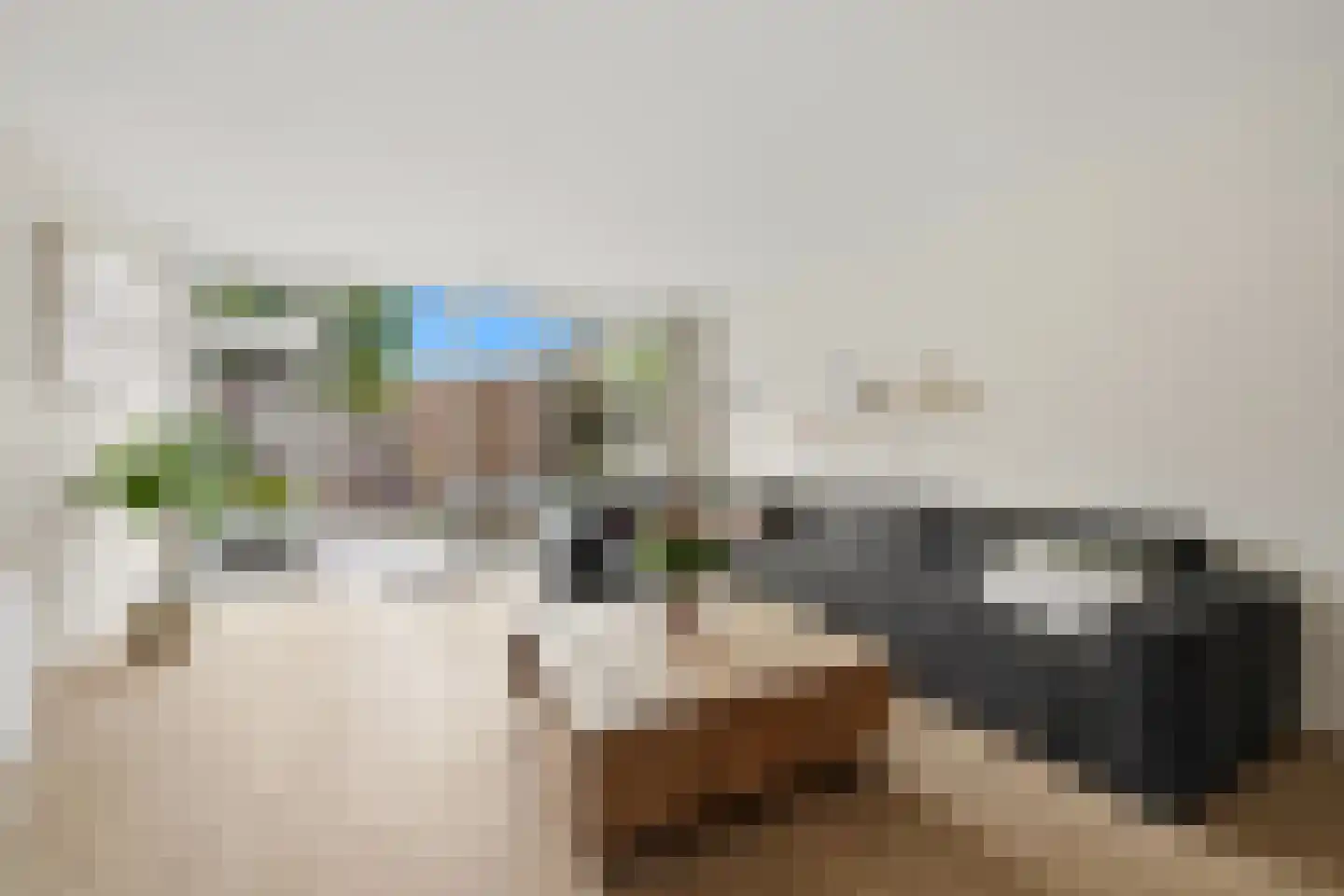 Lumumbasingel 5 Delft thumbnail 5
