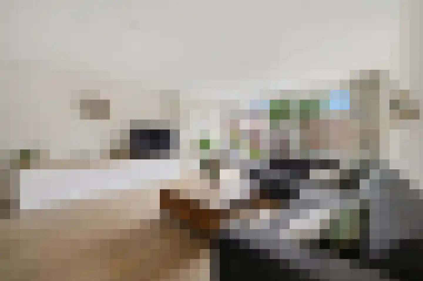 Lumumbasingel 5 Delft thumbnail 7