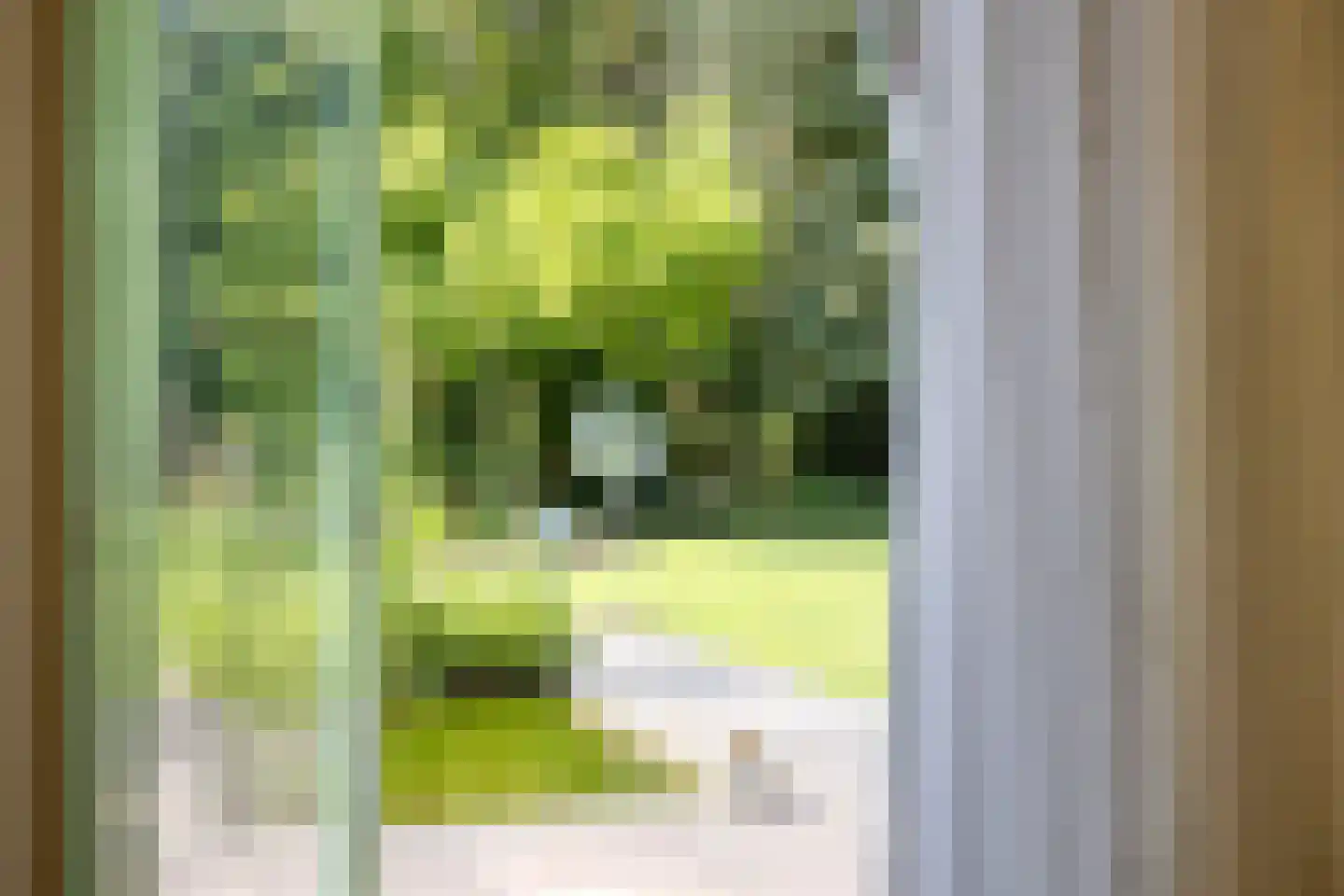Lunaweg 12 Dronten thumbnail 13