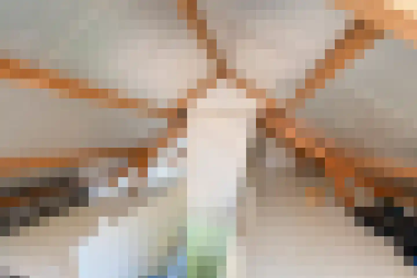 Lunaweg 12 Dronten thumbnail 42