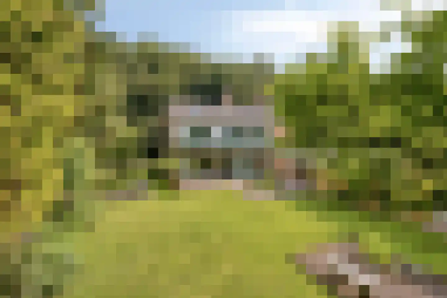 Lunaweg 12 Dronten thumbnail 47