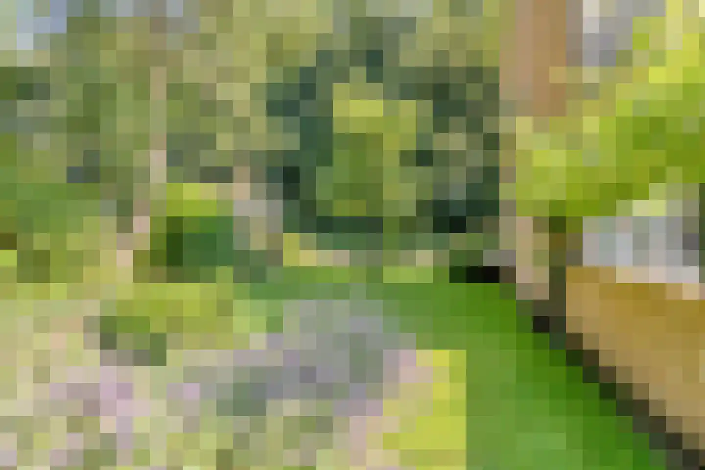 Lunaweg 12 Dronten thumbnail 50