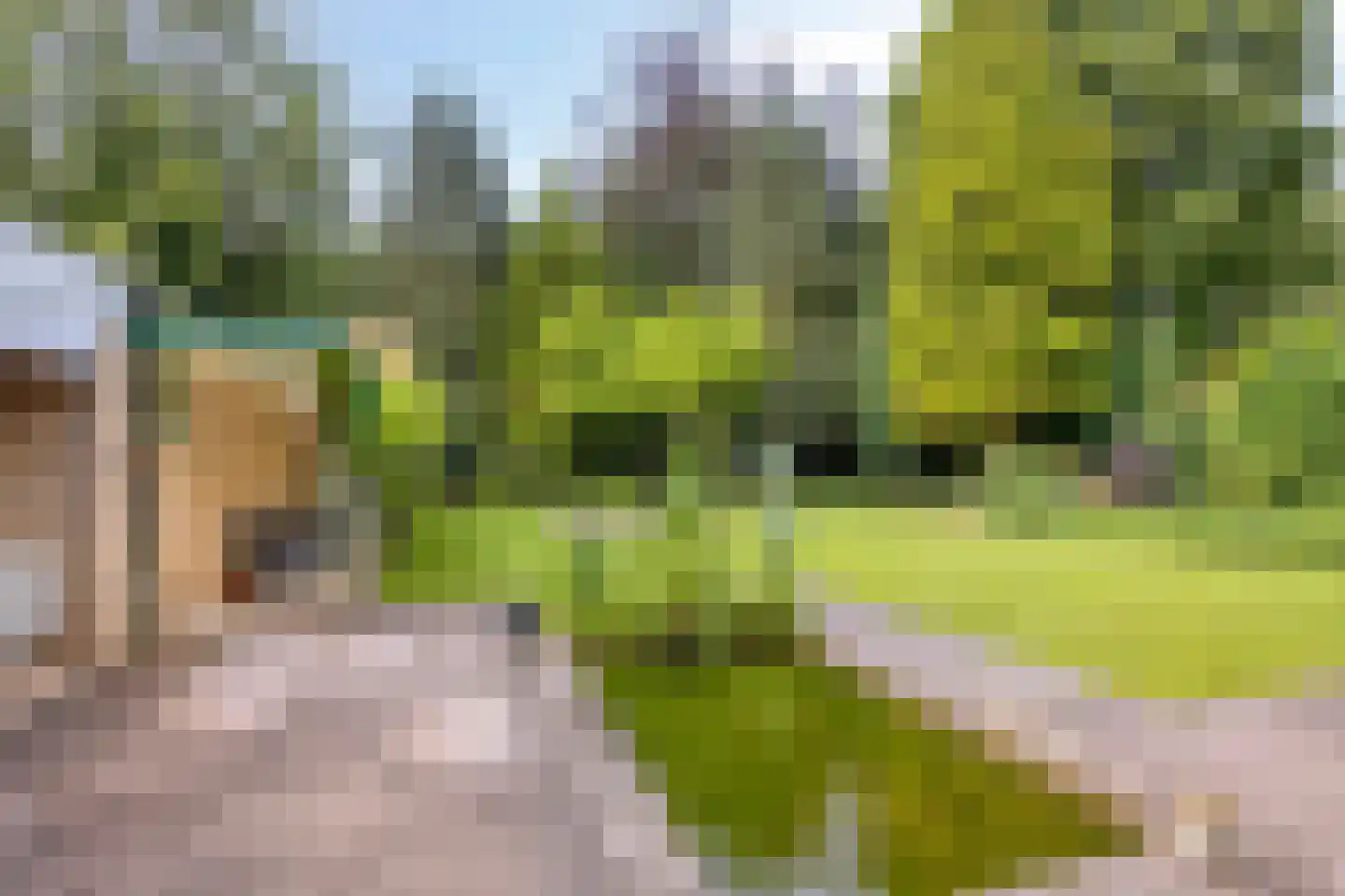 Lunaweg 12 Dronten thumbnail 57