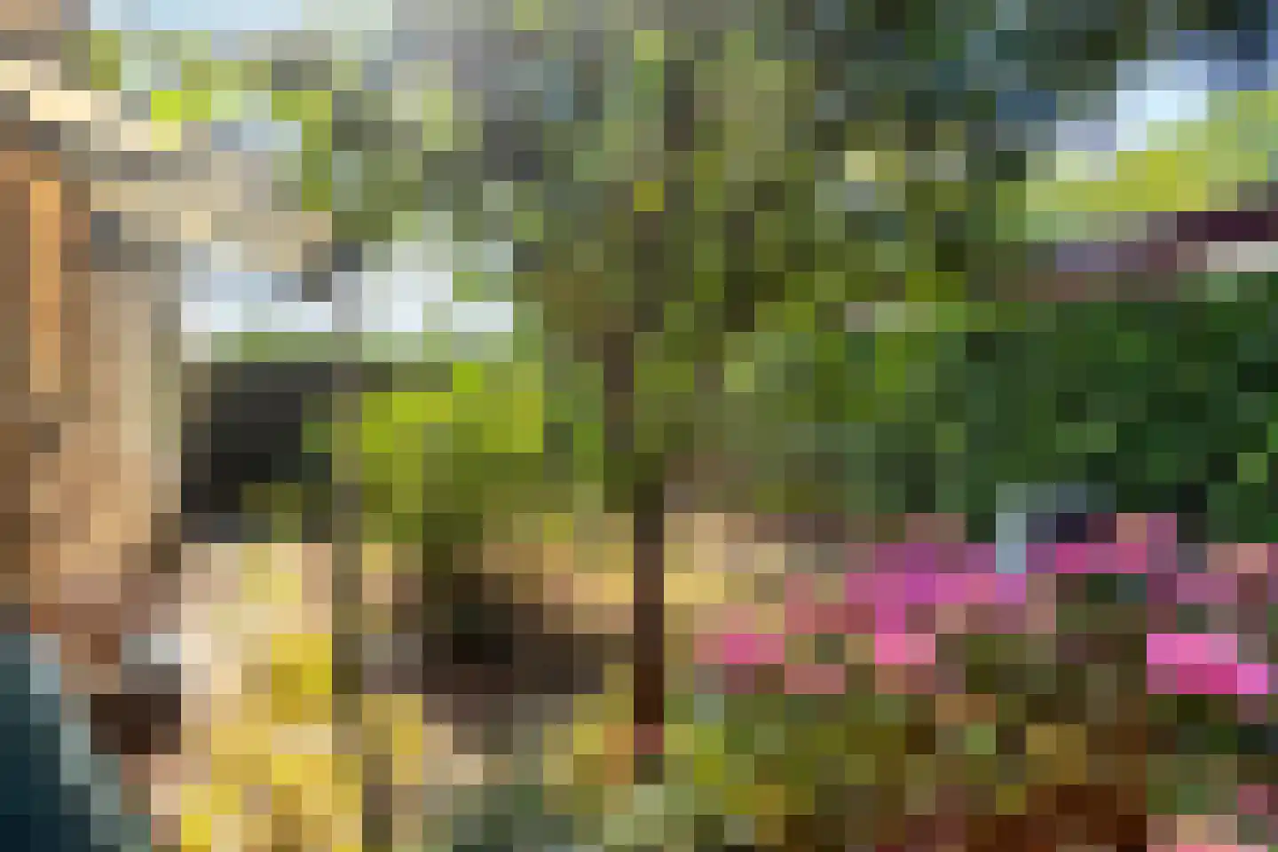 Lunaweg 12 Dronten thumbnail 60