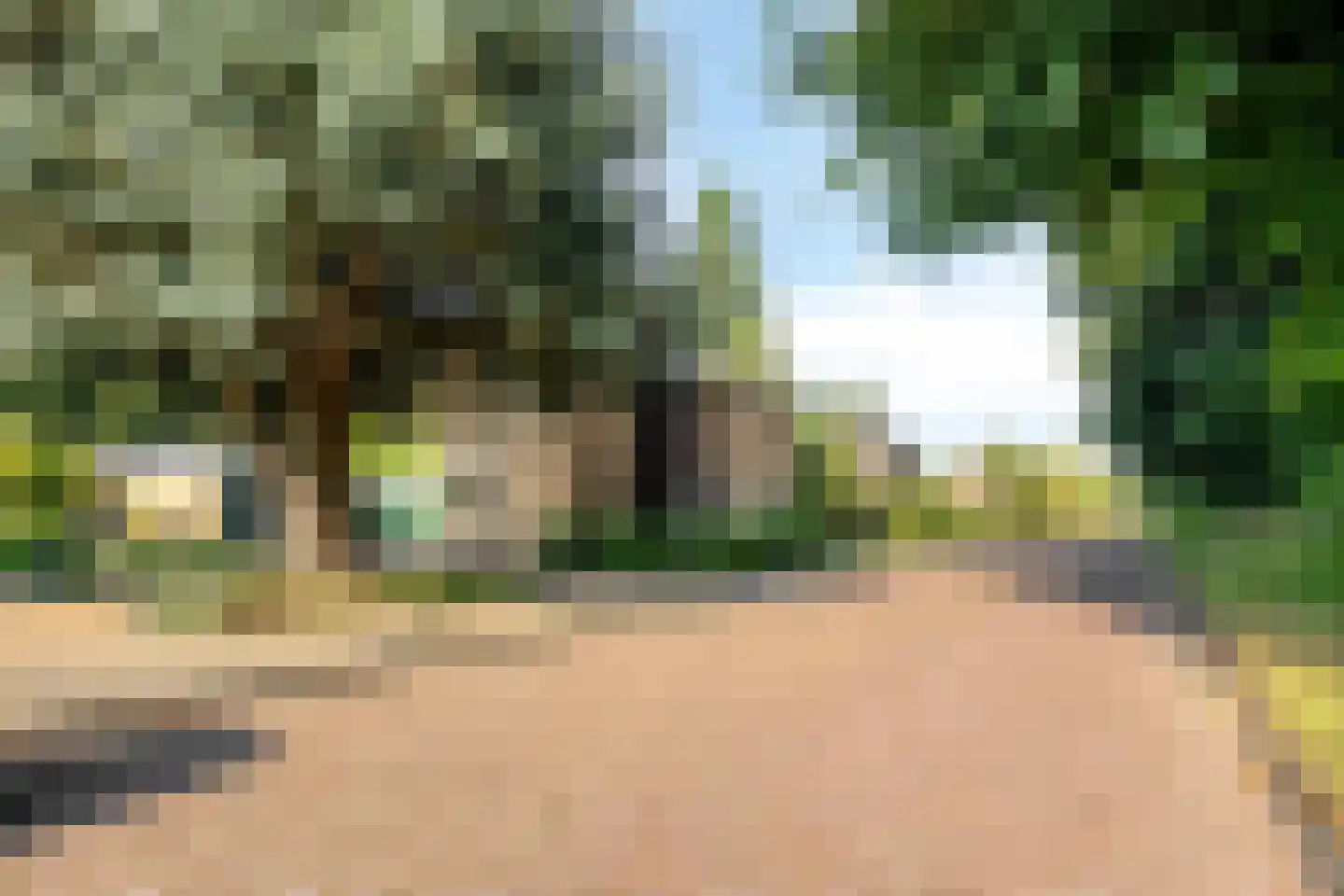Lunaweg 12 Dronten thumbnail 64