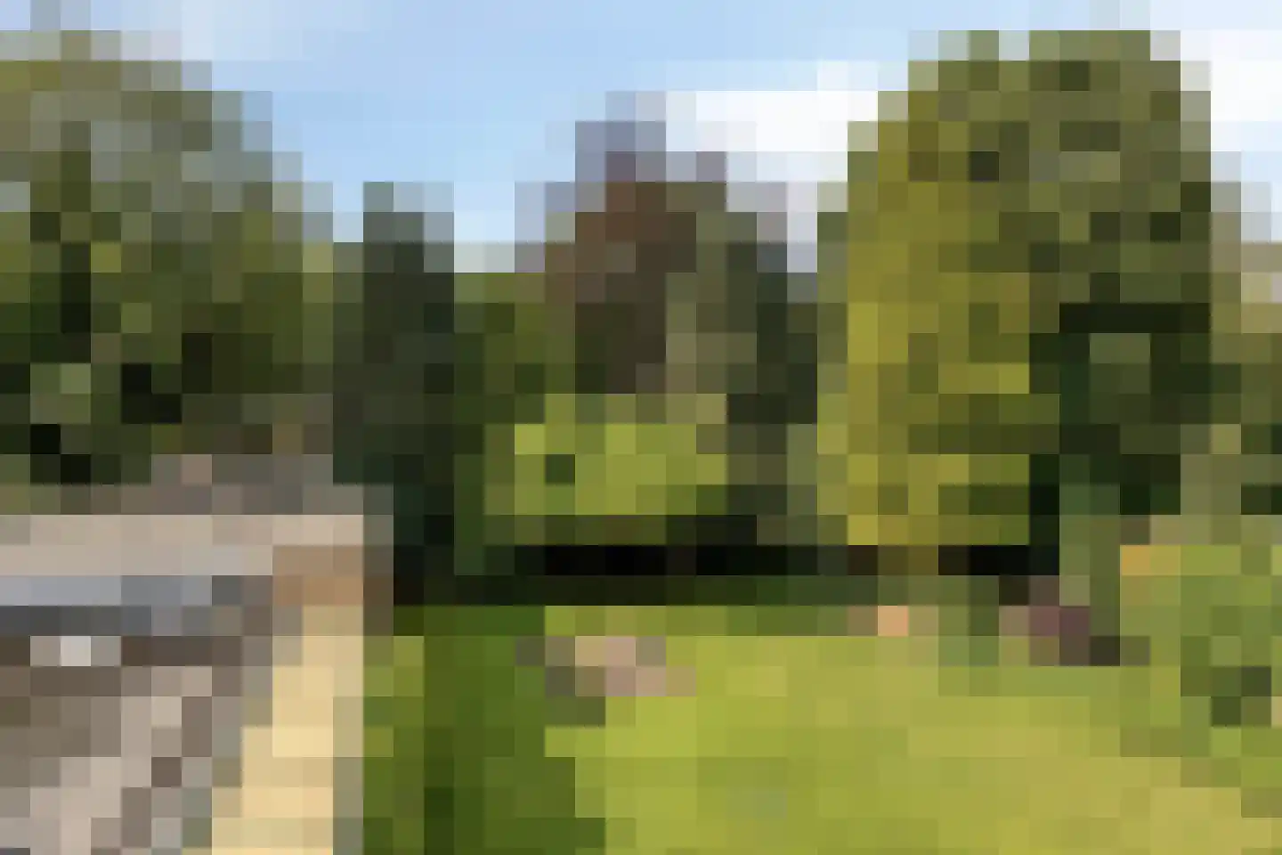 Lunaweg 12 Dronten thumbnail 64