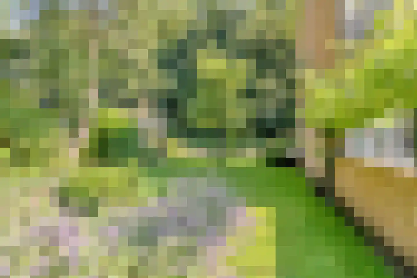 Lunaweg 12 Dronten thumbnail 65
