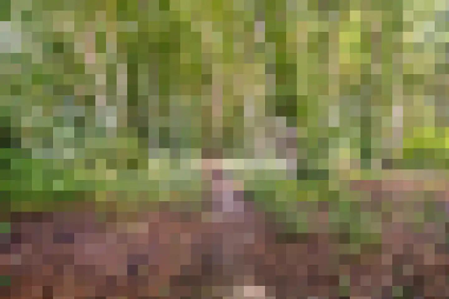 Lunaweg 12 Dronten thumbnail 66