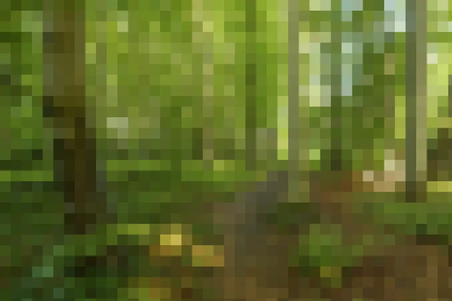 Lunaweg 12 Dronten thumbnail 67