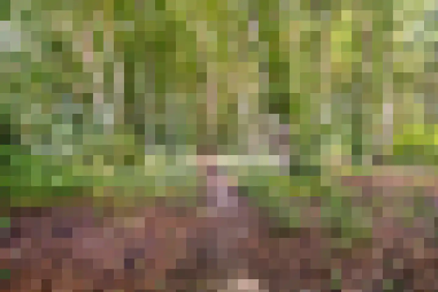 Lunaweg 12 Dronten thumbnail 73