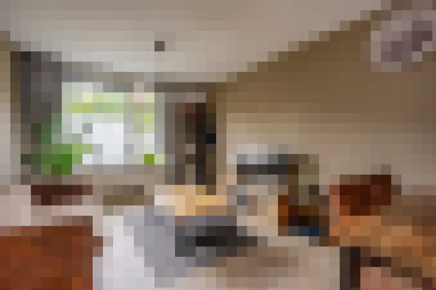 Lunenburchdreef 39 Utrecht thumbnail 10