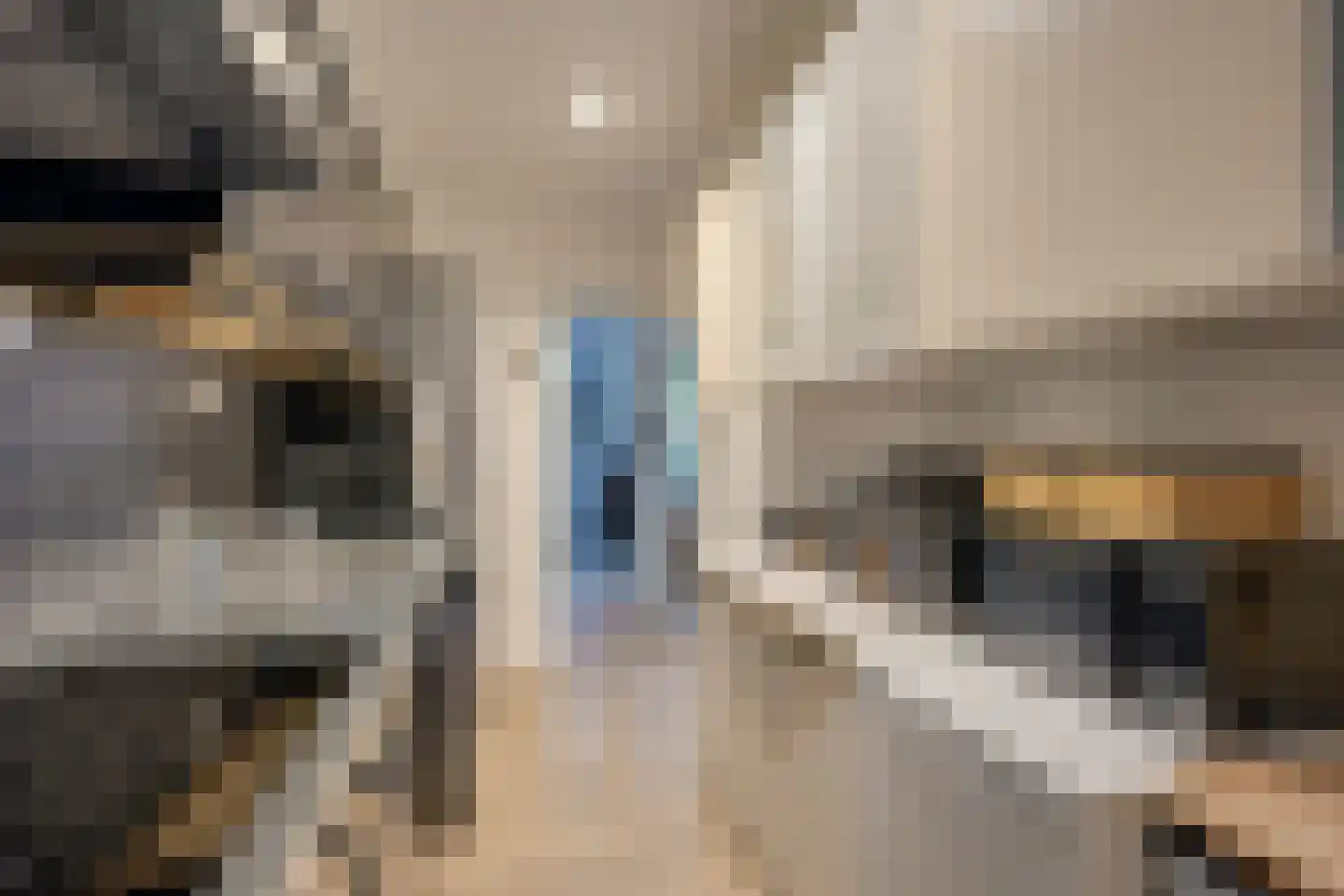Lunenburchdreef 39 Utrecht thumbnail 15