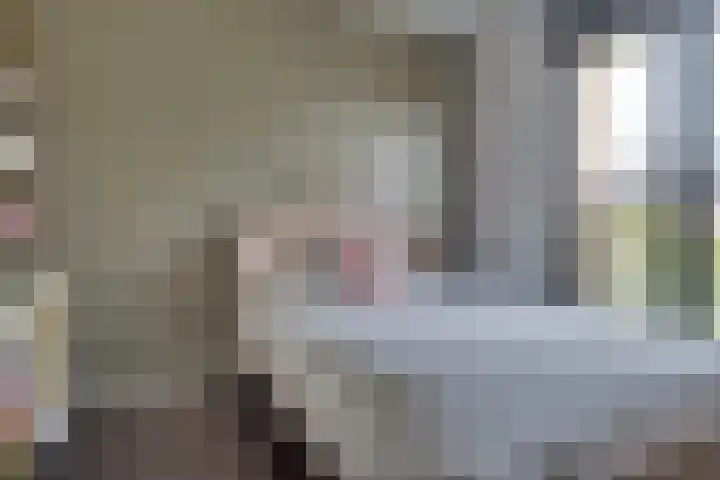 Lunersingel 103 Rosmalen thumbnail 19