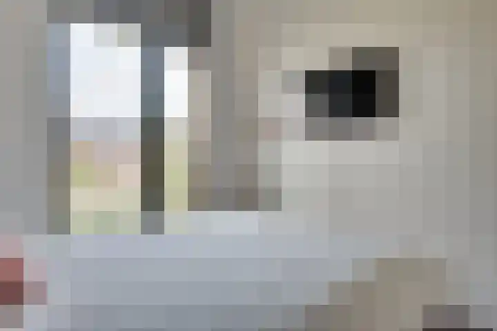 Lunersingel 103 Rosmalen thumbnail 20
