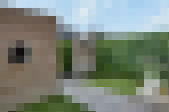 Lunersingel 103 Rosmalen thumbnail 30