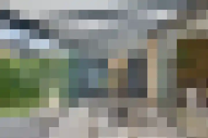 Lunersingel 103 Rosmalen thumbnail 33