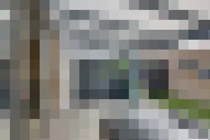 Lunersingel 103 Rosmalen thumbnail 34