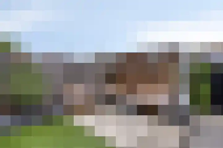 Lunersingel 30 Rosmalen thumbnail 28