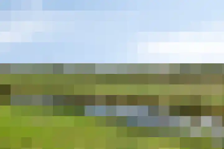 Lunersingel 30 Rosmalen thumbnail 33