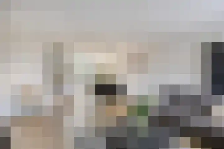 Lunersingel 30 Rosmalen thumbnail 6