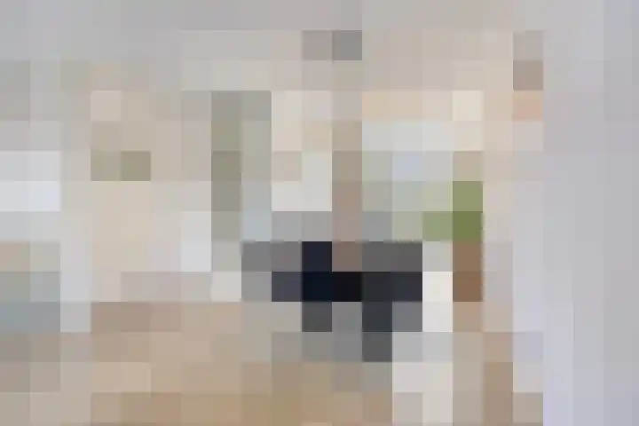 Lunersingel 30 Rosmalen thumbnail 8